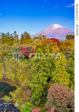 【静岡県】音止の滝展望台から見る・紅葉 富士山 【静岡県】音止の滝展望台から見る・紅葉 富士山 133289106