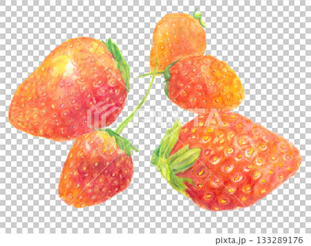 用水彩筆畫的草莓 133289176
