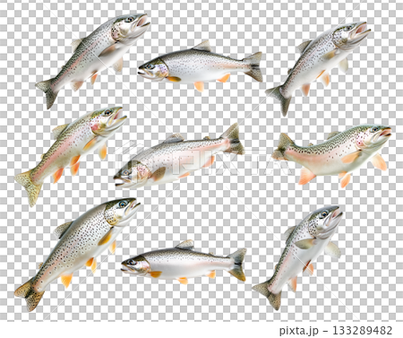 Set of trout fish with spotted scales, fins and open mouth isolated on white transparent background 133289482