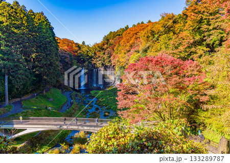 【静岡県】白糸の滝・紅葉 133289787