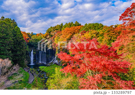 【静岡県】白糸の滝・紅葉 133289797