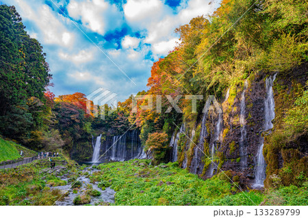 【静岡県】白糸の滝・紅葉 【静岡県】白糸の滝・紅葉 133289799