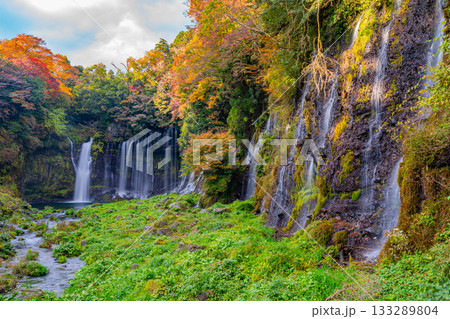 【静岡県】白糸の滝・紅葉 133289804