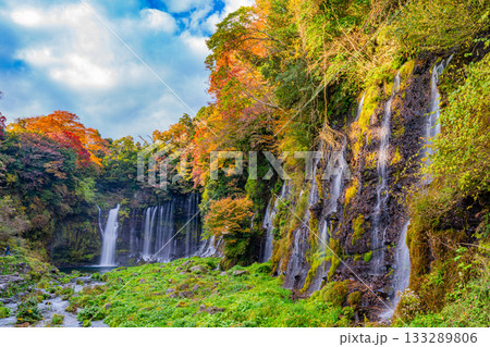 【静岡県】白糸の滝・紅葉 133289806