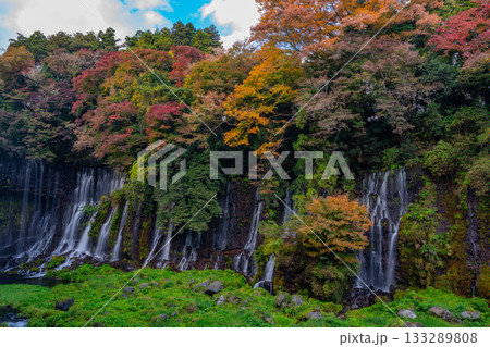 【静岡県】白糸の滝・紅葉 133289808