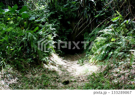 グアム 南太平洋戦争戦没者慰霊公園 グアム 南太平洋戦争戦没者慰霊公園 133289867
