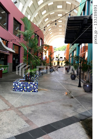 グアム タモン アカンタモール グアム タモン アカンタモール 133289891