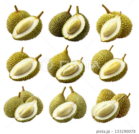 Set of whole durian and one cut, creamy flesh isolated on white transparent background, exotic fruit concept Set of whole durian and one cut, creamy flesh isolated on white transparent background, exotic fruit concept 133290078