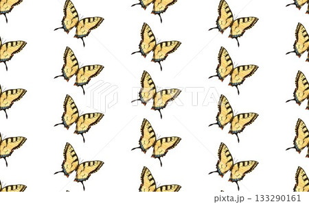 アゲハ蝶　① 133290161