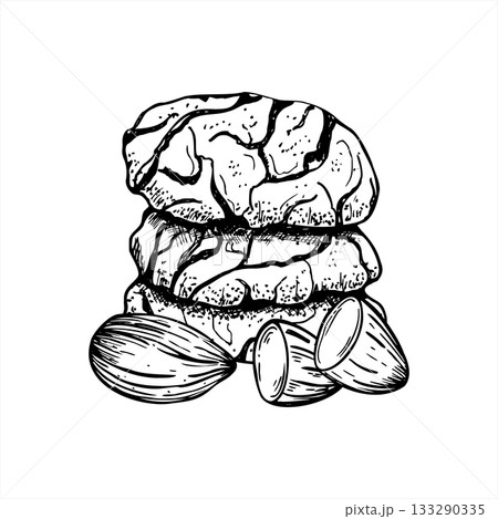 Nut cracked cookies and peeled almond vector isolated illustration painted by black inks. Traditional homemade sweet cookie etching drawing. Hand drawn biscuit stacked line art for Xmas menu, recipe 133290335
