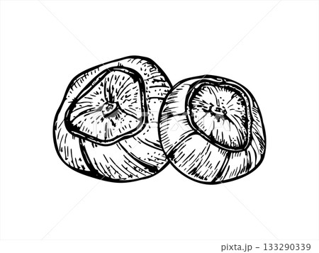 Two hazelnut pods in shell monochrome vector illustration painted by black inks. Etching drawing of hazel. Raw food ingredients for packaging, culinary recipe, product design 133290339
