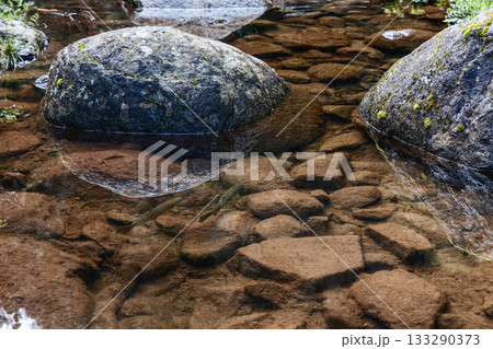Clear shallow stream with mossy rocks small fish and visible pebbles beneath water surface Clear shallow stream with mossy rocks small fish and visible pebbles beneath water surface 133290373