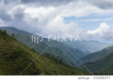 Misty forested highlands of Madeira with layered mountain ridges beneath drifting rain clouds 133290377