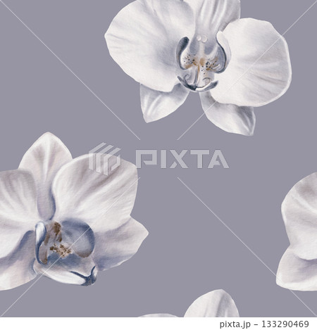 White orchid in a simple seamless pattern,symbolizing tropical vacation,innocence,tenderness, youth. Hand drawn watercolor illustration for backgroud,textile,wrapping papper White orchid in a simple seamless pattern,symbolizing tropical vacation,innocence,tenderness, youth. Hand drawn watercolor illustration for backgroud,textile,wrapping papper 133290469