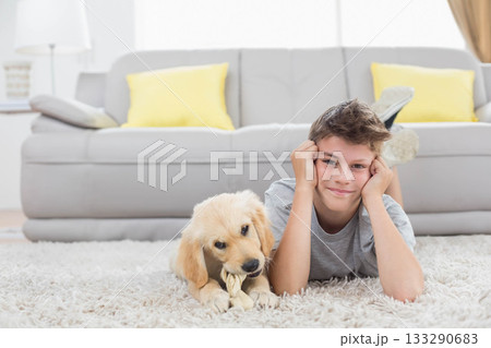 Male child lying on rug in living room beside gray sofa, puppy chewing knotted rope toy Male child lying on rug in living room beside gray sofa, puppy chewing knotted rope toy 133290683