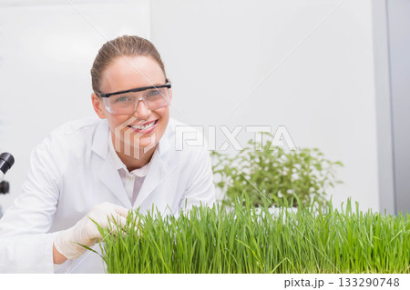 Female scientist inspecting seedlings with microscope at lab bench wearing goggles and gloves 133290748