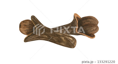 Dried clove buds watercolor illustration on isolated background. Natural flower bud of Syzygium aromaticum. Hand painted organic ingredient for medicine, cooking recipe, winter drink decor, poster. 133291220