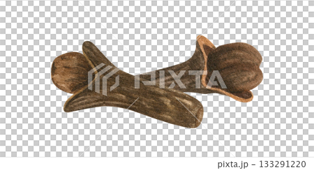 Dried clove buds watercolor illustration on isolated background. Natural flower bud of Syzygium aromaticum. Hand painted organic ingredient for medicine, cooking recipe, winter drink decor, poster. 133291220