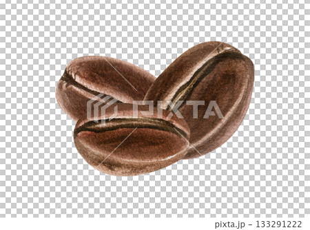 Three roasted coffee beans watercolor illustration on isolated background. Aromatic brown plant seed pile. Organic healthy ingredient for coffee product promotion, morning hot drink decor. 133291222