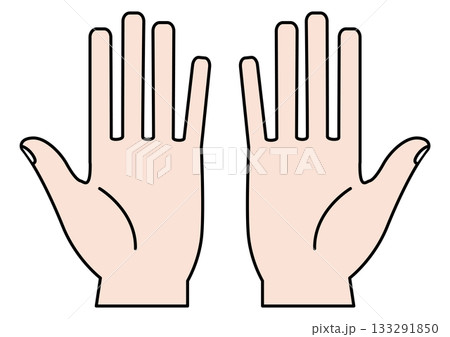 人体パーツとしての両手と指・両手を広げた手のひら 人体パーツとしての両手と指・両手を広げた手のひら 133291850
