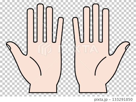 人体パーツとしての両手と指・両手を広げた手のひら 人体パーツとしての両手と指・両手を広げた手のひら 133291850