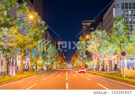 《大阪府》御堂筋イルミネーション・2025 133291857