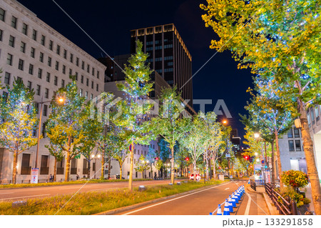 《大阪府》御堂筋イルミネーション・2025 133291858