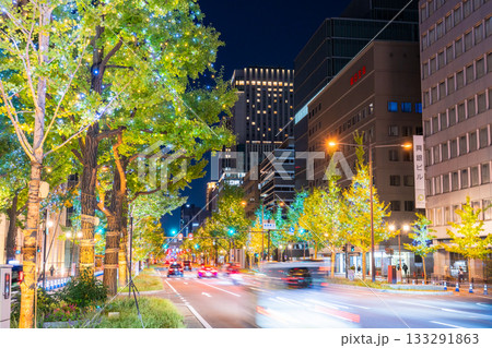 《大阪府》御堂筋イルミネーション・2025 《大阪府》御堂筋イルミネーション・2025 133291863