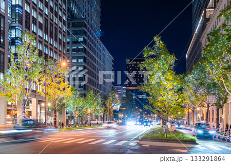 《大阪府》御堂筋イルミネーション・2025 《大阪府》御堂筋イルミネーション・2025 133291864