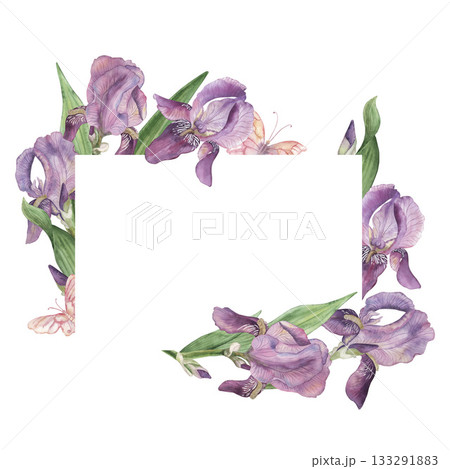 Watercolor floral frame with delicate purple iris flowers, green leaves, soft butterflies. Elegant botanical border for invitations, greeting cards, wedding designs, spring decor and natural artwork 133291883