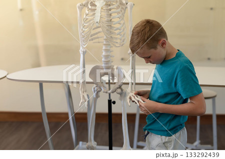 Male child examining skeleton hand bones in science classroom with skeleton model, copy space Male child examining skeleton hand bones in science classroom with skeleton model, copy space 133292439