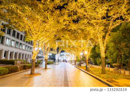 《大阪府》中之島イルミネーションストリート 133292819