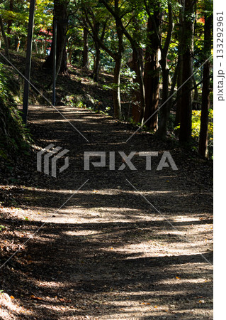 兵庫県宍粟市にある最上山の山道 133292961