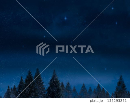Digitally generated Night sky over forest 133293251