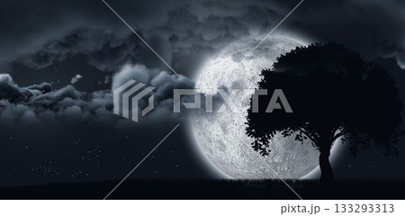 Moon shining behind a tree and clouds 133293313