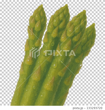 【蔬菜】新鮮蘆筍插圖 133293720