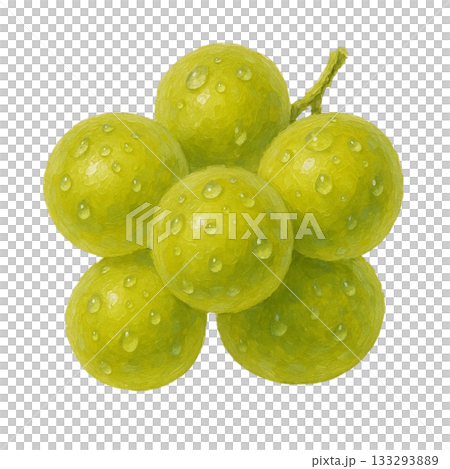 [Fruit] Illustration of a fresh Muscat 133293889