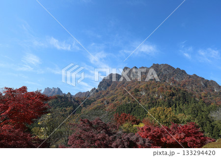 紅葉が美しい妙義山 133294420