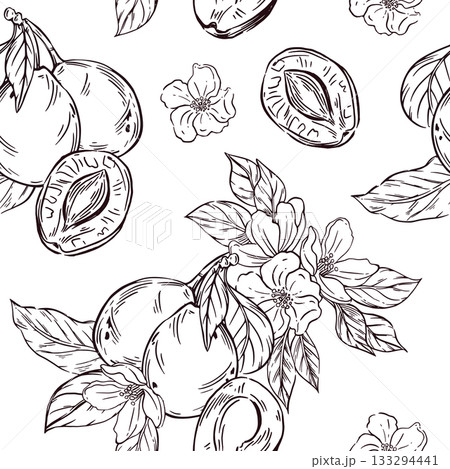 Seamless vector pattern of plums, prunes, leaves and flowers of fruit trees. All objects are hand-drawn. The illustration is perfect for printing on fabric, paper, for packaging dried fruits. 133294441