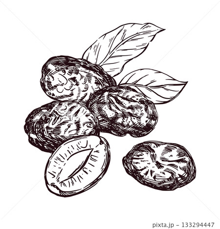 Prunes, prune slices, leaves, all objects are hand-drawn with ink and translated into vector. Vector illustration is perfect for printing on the packaging of dried fruits, food, dishes. 133294447