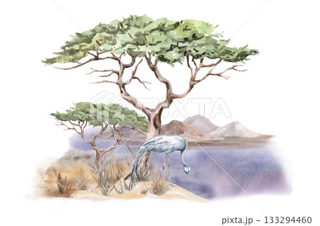 A landscape scene of a crane against a backdrop of large trees and mountains. Isolated watercolor illustration for interior design, eco-projects, travel agency websites and brochures. 133294460