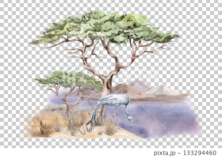 A landscape scene of a crane against a backdrop of large trees and mountains. Isolated watercolor illustration for interior design, eco-projects, travel agency websites and brochures. 133294460