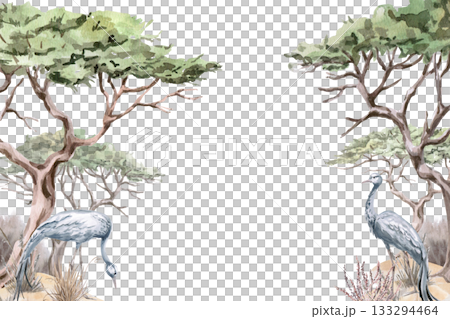 Rectangular frame with African acacia trees and gray cranes. Isolated watercolor illustration for interior design, eco-projects, travel agency websites and brochures, and apparel printing. Rectangular frame with African acacia trees and gray cranes. Isolated watercolor illustration for interior design, eco-projects, travel agency websites and brochures, and apparel printing. 133294464