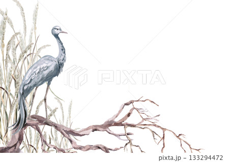 A rectangular frame with a gray crane on a gnarled tree. Isolated watercolor illustration for interior design, eco-projects, travel agency websites and brochures, and apparel printing. 133294472