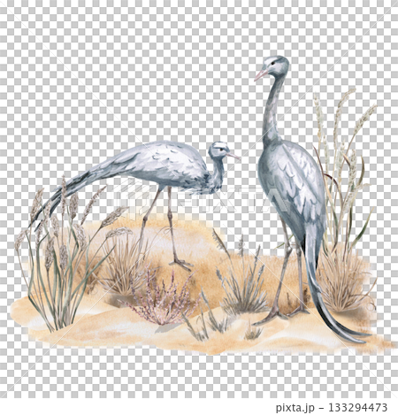 A landscape scene with two grey cranes. Isolated watercolor illustration for interior design, eco-projects, travel agency websites and brochures, company branding, and apparel printing. 133294473