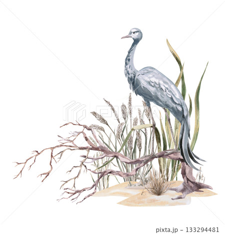 A common crane perched on a branch in tall grass. Isolated watercolor illustration for interior design, eco-projects, travel agency websites and brochures, company branding, and apparel printing. 133294481