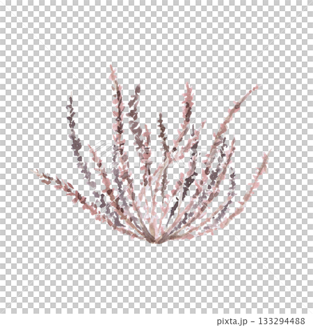 A set of steppe grasses and leaves. Isolated watercolor illustration of steppe vegetation for interior design, eco-projects, travel agency websites, company branding, and apparel printing. 133294488