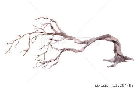 A dried, gnarled, leaning tree. Isolated watercolor illustration for interior design, eco-projects, travel agency websites and brochures, company branding, and apparel printing. 133294495