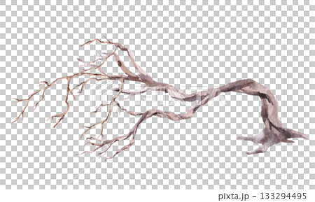 A dried, gnarled, leaning tree. Isolated watercolor illustration for interior design, eco-projects, travel agency websites and brochures, company branding, and apparel printing. 133294495