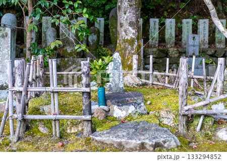 冬の嵯峨野 去来墓 京都府京都市右京区 冬の嵯峨野 去来墓 京都府京都市右京区 133294852